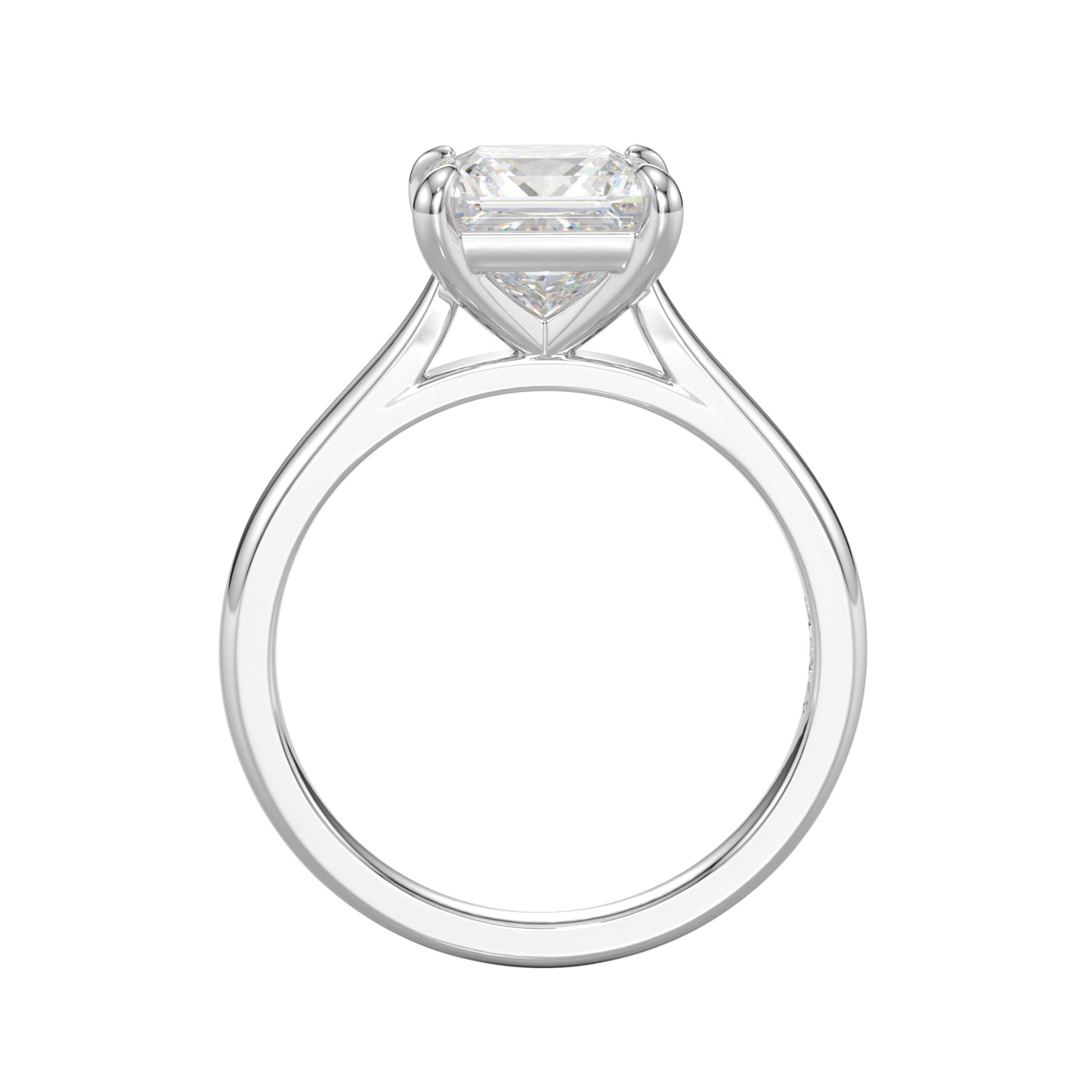 delicate princess engagement ring