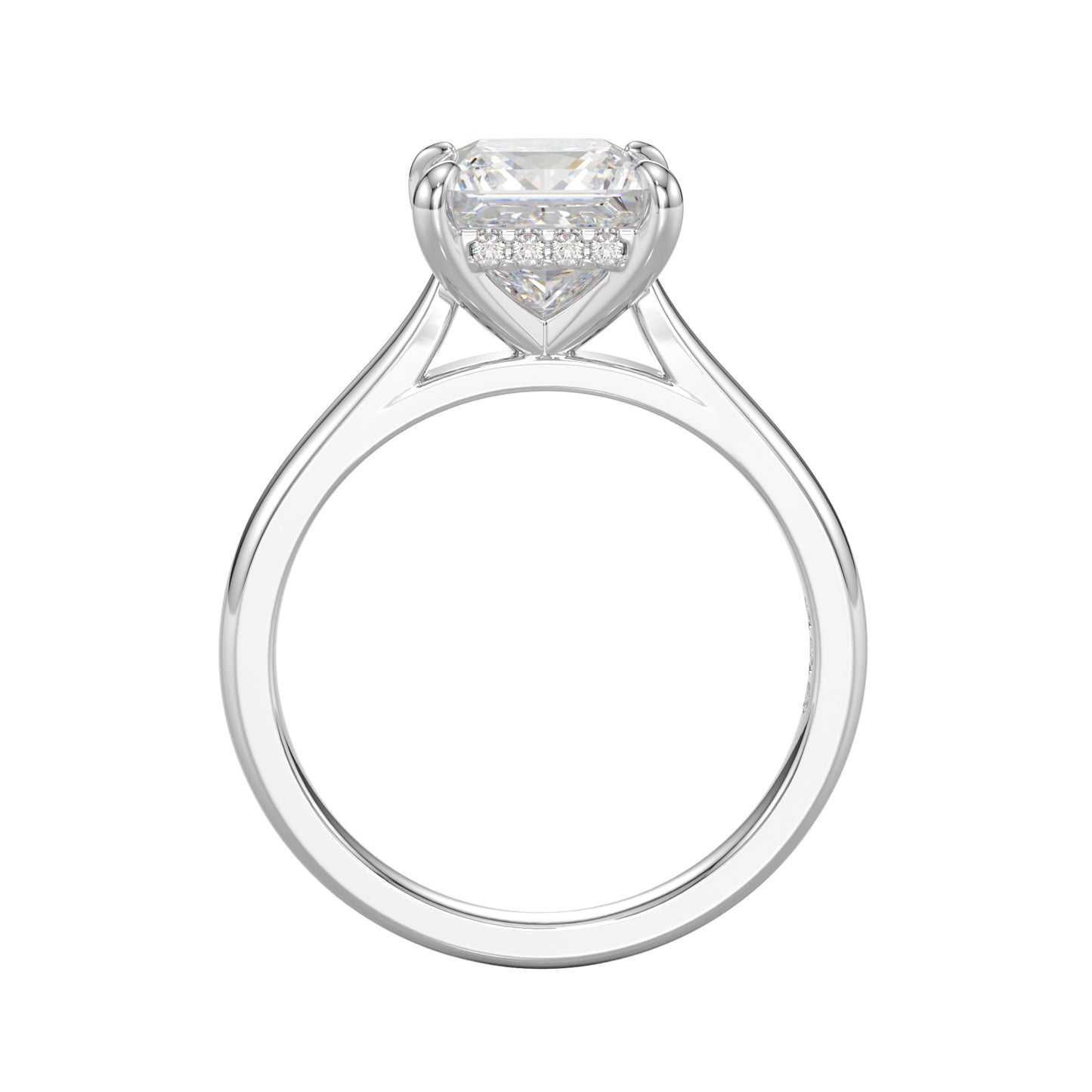 princess cut hidden halo ring